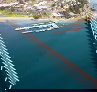 Phillip Island Helicopter Tour - Accommodation Port Macquarie