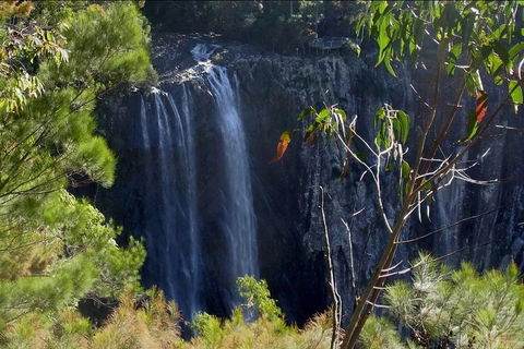 Byron Bay Hinterland Tour Including Rainforest Walk To Minyon Falls - Accommodation Port Macquarie 0