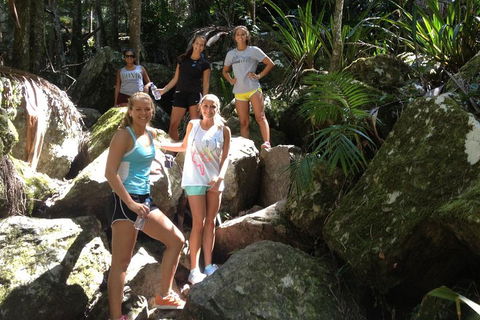 Byron Bay Hinterland Tour Including Rainforest Walk To Minyon Falls - Accommodation Port Macquarie 3