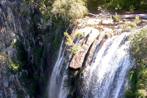 Byron Bay Combo: Hinterland Tour Including Minyon Falls And Kayaking With Dolphins - Accommodation Port Macquarie 3