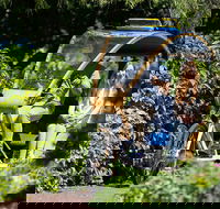 Adelaide 90-Minute Pedicab Tour Scenic Green  River Experience - Accommodation Port Macquarie