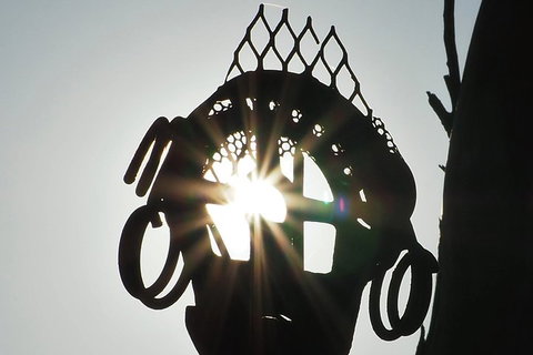 Wave Rock, Wild Flowers And Astro Photography - Accommodation Port Macquarie 4