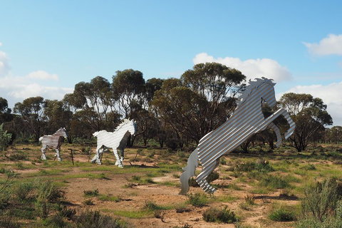 Wave Rock, Wild Flowers And Astro Photography - Accommodation Port Macquarie 5