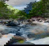 Cape Tribulation Day Tour - Accommodation Port Macquarie