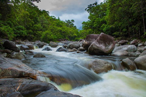 Cape Tribulation Day Tour - Accommodation Port Macquarie 0