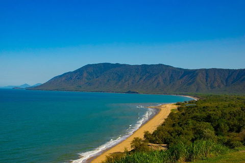Cape Tribulation Day Tour - Accommodation Port Macquarie 1