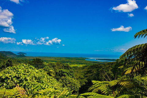 Cape Tribulation Day Tour - Accommodation Port Macquarie 3