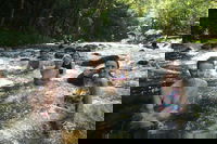 Daintree Rainforest Cape Tribulation Mossman Gorge Small-Group Day Tour, Port Douglas