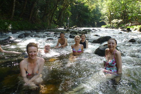 Daintree Rainforest, Cape Tribulation, Mossman Gorge Small-Group Day Tour - Accommodation Port Macquarie 0