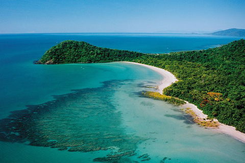 Daintree Rainforest, Cape Tribulation, Mossman Gorge Small-Group Day Tour - Accommodation Port Macquarie 4
