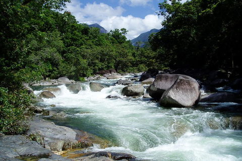 Daintree Rainforest, Cape Tribulation, Mossman Gorge Small-Group Day Tour - Accommodation Port Macquarie 5