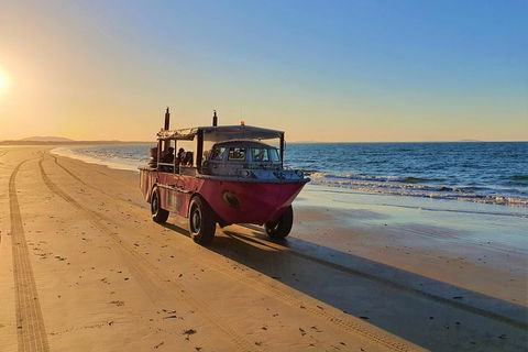 Town Of 1770 Afternoon Cruise - Accommodation Port Macquarie 1
