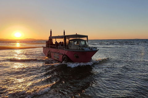 Town Of 1770 Afternoon Cruise - Accommodation Port Macquarie 3
