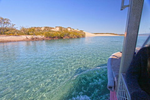 1770 Coastline Tour By LARC Amphibious Vehicle Including Picnic Lunch - Accommodation Port Macquarie 5