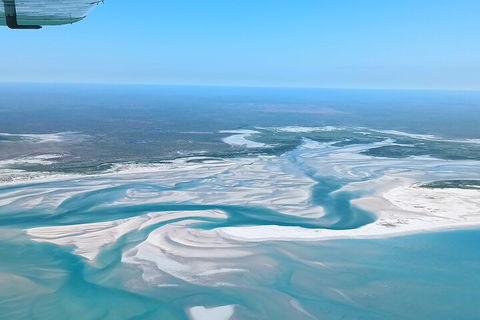 Giant Tides Tour - Cygnet Bay Pearl Farm - Accommodation Port Macquarie 1