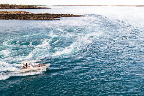 Giant Tides Tour - Cygnet Bay Pearl Farm - Accommodation Port Macquarie 4