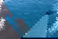 Noosa Thriller - 500hp Ocean Adventure Ride