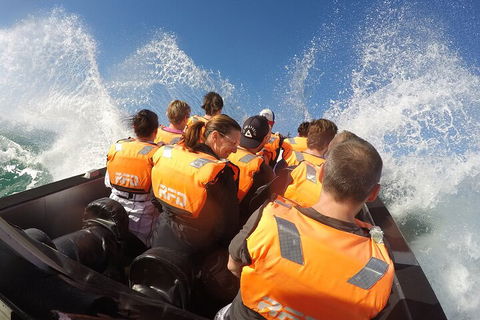 Noosa Thriller - 500hp Ocean Adventure Ride - Accommodation Port Macquarie 4