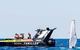 Noosa Whale Watching - thumb 4
