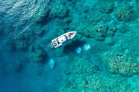 Premium Private Charter - Accommodation Port Macquarie 0