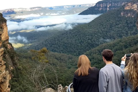 Blue Mountains Private Tour - Wild Kangaroos, Waterfalls And The Three Sisters - Accommodation Port Macquarie 3