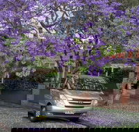 Sydney Secrets  Bondi Beach Private 4 Hr Morning with Personalised Sydney Tours - Accommodation Port Macquarie