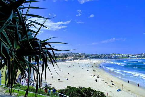 Sydney Secrets & Bondi Private 4 Hour Afternoon With 'Personalised Sydney Tours' - Accommodation Port Macquarie 0