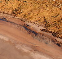 Scenic Flight Lizard Safari - Accommodation Port Macquarie