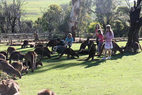 The Port Arthur MEGA Day Trip From Hobart - Accommodation Port Macquarie 5