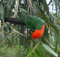 3-Day Private Adelaide to Melbourne tour - Accommodation Port Macquarie