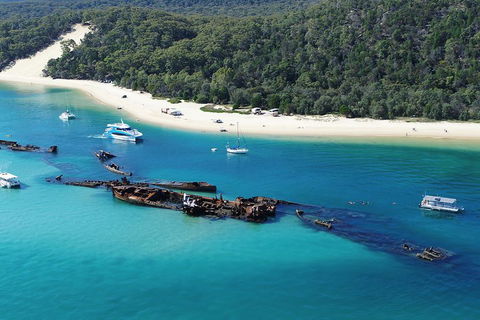 All Inclusive Tangalooma Wrecks Cruise Tour From Gold Coast - Accommodation Port Macquarie 0