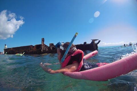 All Inclusive Tangalooma Wrecks Cruise Tour From Gold Coast - Accommodation Port Macquarie 3