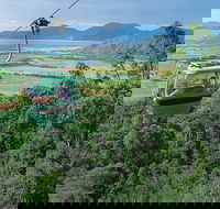 Kuranda Day Tour TKS-RFS GRAND GOLD PLUS 0930 - Accommodation Port Macquarie