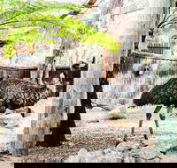 Sydney Taronga Zoo General Entry Ticket and Wild Australia Experience - Accommodation Port Macquarie