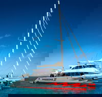 Passions of Paradise Great Barrier Reef Snorkel and Dive Cruise from Cairns by Luxury Catamaran - Accommodation Port Macquarie