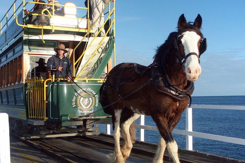 Full-Day Tour In South Australia Highlights - Accommodation Port Macquarie 1