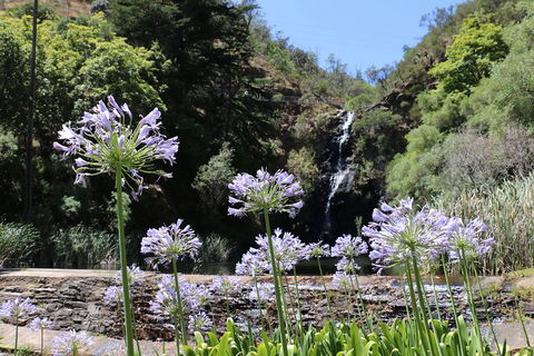 Self-Guided Waterfall Gully To Mount Lofty Hike From Adelaide - Accommodation Port Macquarie 3