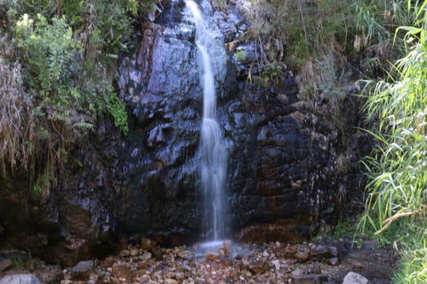 Self-Guided Waterfall Gully To Mount Lofty Hike From Adelaide - Accommodation Port Macquarie 5