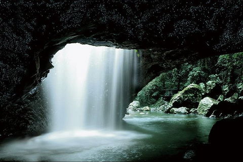 Natural Bridge Glow Worm Night Tour From Gold Coast - Accommodation Port Macquarie 0