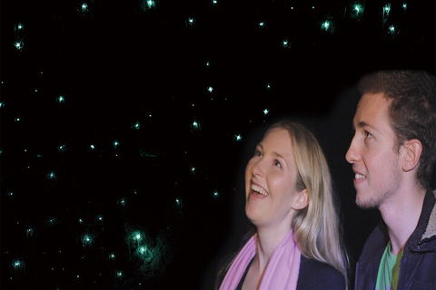 Natural Bridge Glow Worm Night Tour From Gold Coast - Accommodation Port Macquarie 3