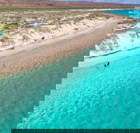 Ningaloo in a Day - Full Day Hike and Snorkel Tour with Lunch - Accommodation Port Macquarie