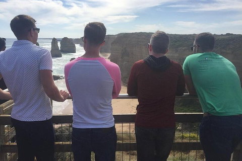 LGBT+ Friendly 3 Day Private Tour Great Ocean Road & Phillip Island - Accommodation Port Macquarie 3