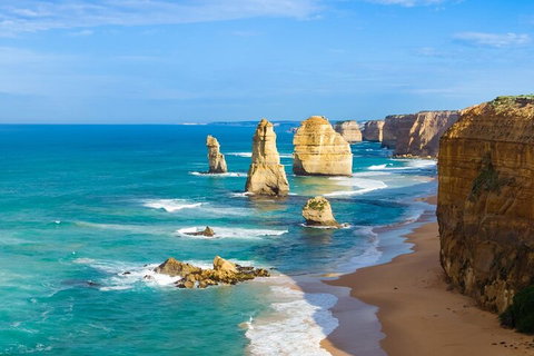 LGBT+ Friendly 3 Day Private Tour Great Ocean Road & Phillip Island - Accommodation Port Macquarie 4