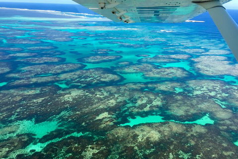 Shipwreck Special Full Day Tour Of The Abrolhos Islands - Accommodation Port Macquarie 1