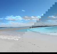 Shipwreck Special Nature Tour/Half Day Tour - Accommodation Port Macquarie
