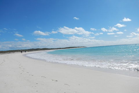 Shipwreck Special Nature Tour/Half Day Tour - Accommodation Port Macquarie 0