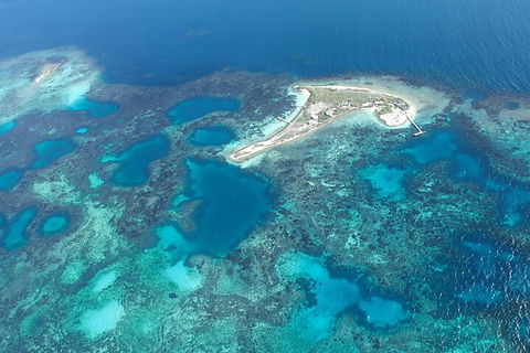Shipwreck Special Nature Tour/Half Day Tour - Accommodation Port Macquarie 5