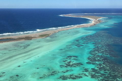 Kalbarri, Pink Lake And Abrolhos Islands Nature Tour - Accommodation Port Macquarie 3