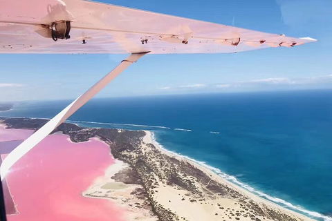Kalbarri, Pink Lake And Abrolhos Islands Nature Tour - Accommodation Port Macquarie 4
