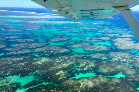 Kalbarri, Pink Lake And Abrolhos Islands Nature Tour - Accommodation Port Macquarie 5